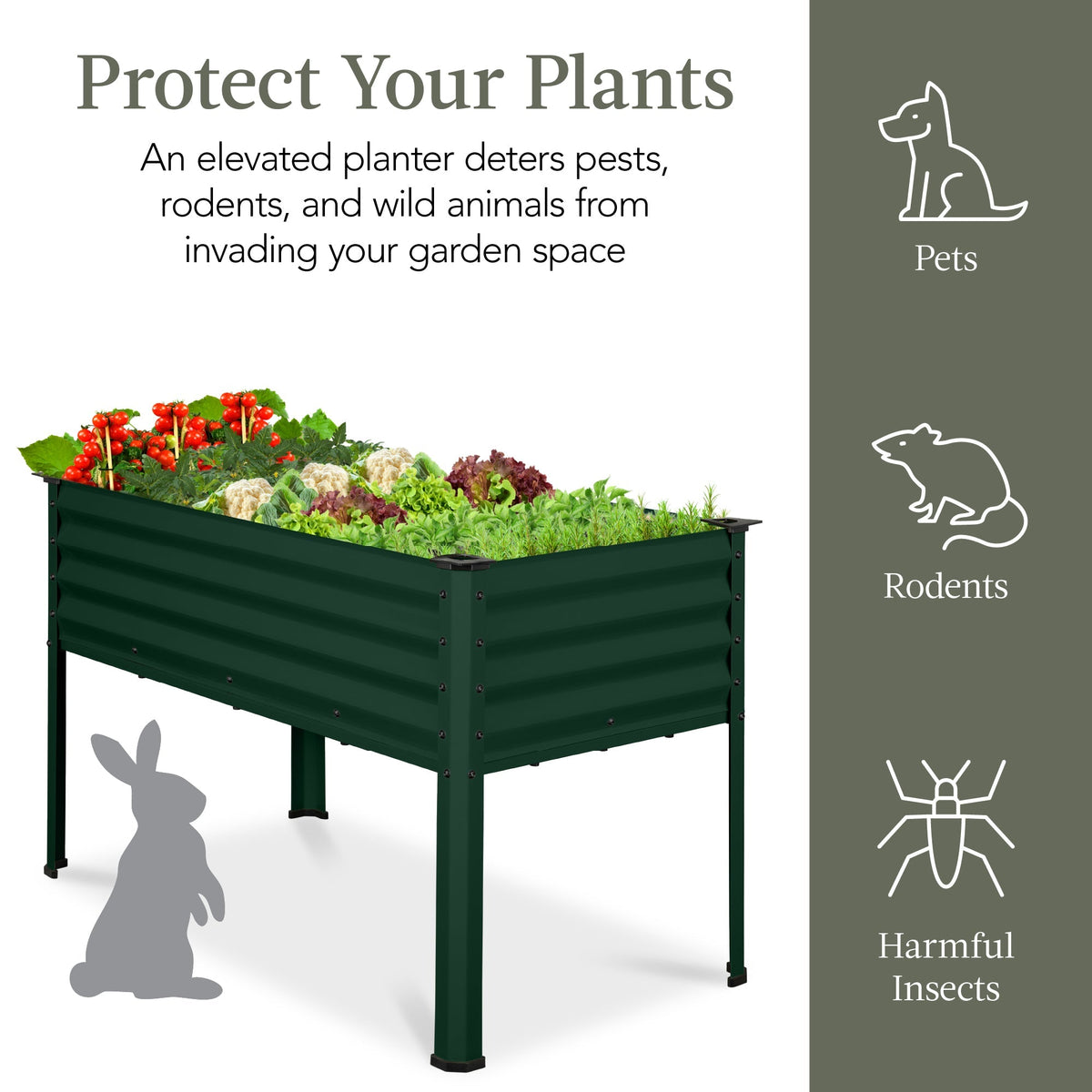 Elevated Galvanized Metal Garden Bed w/ Corner Protectors - 48x24x30in